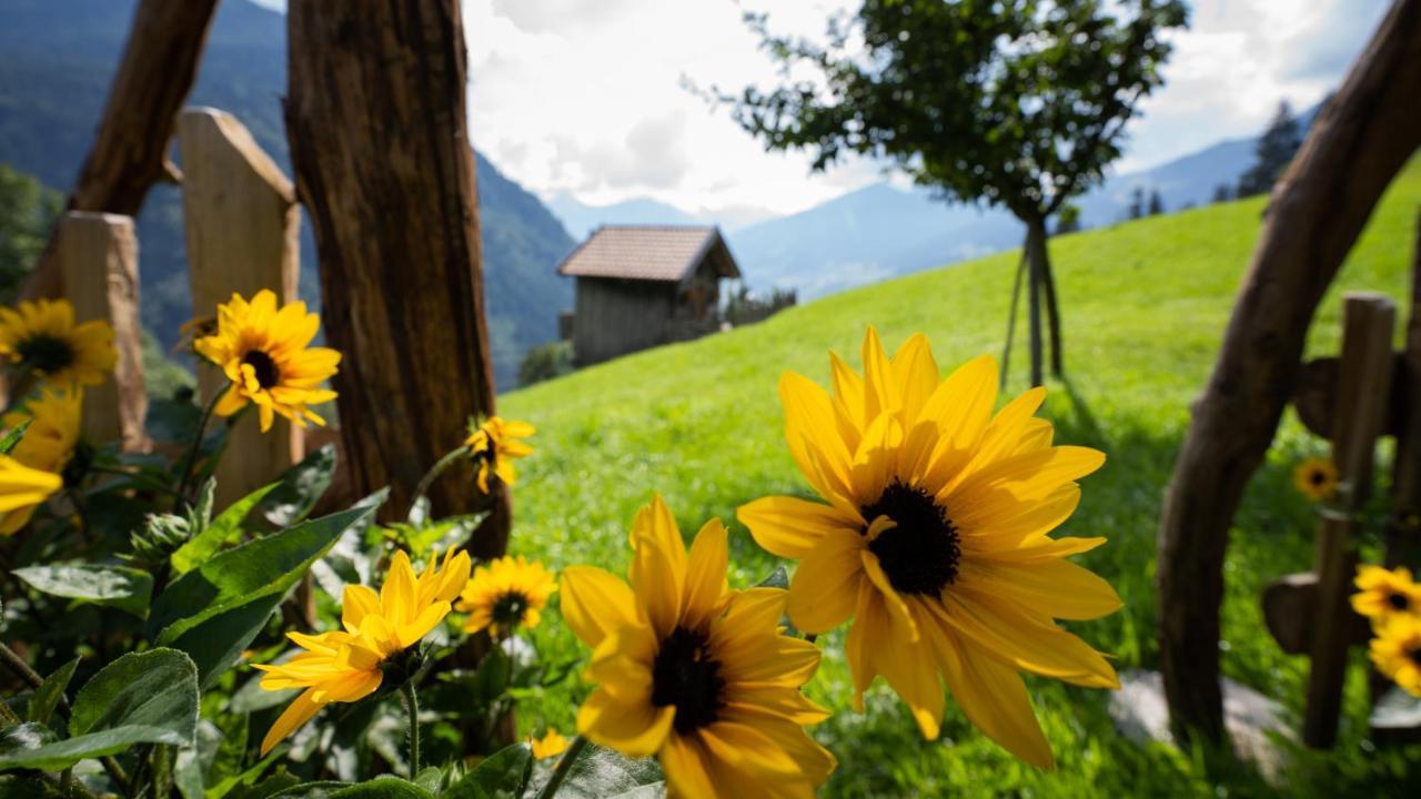 Chalet Schroeckgut Bad Hofgastein Ngoại thất bức ảnh