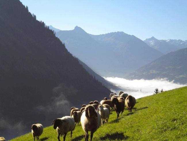 Chalet Schroeckgut Bad Hofgastein Ngoại thất bức ảnh