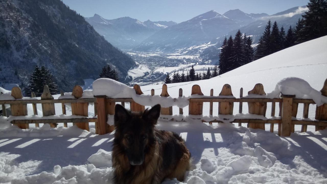 Chalet Schroeckgut Bad Hofgastein Ngoại thất bức ảnh